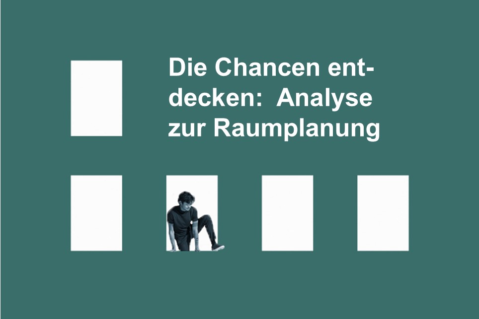 Die Chancen erkunden – eine systemische Organisationsanalyse